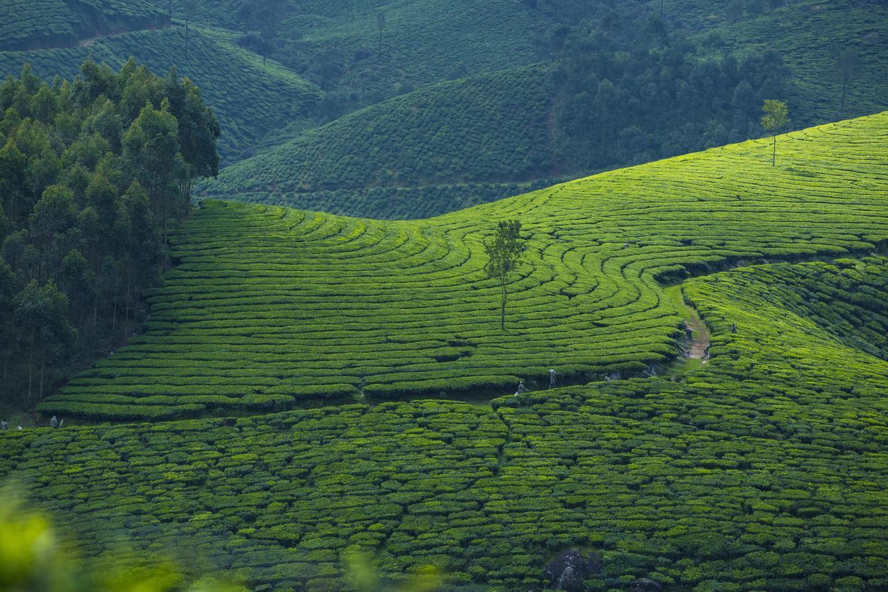 Mount View Munnar Hotel Exterior foto